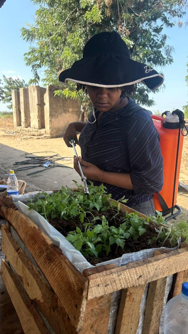 Sustainable Agriculture Initiative - Image 14